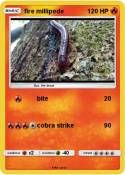 fire millipede