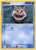 Catshark