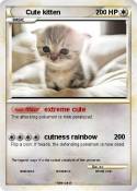 Cute kitten