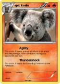 epic koala