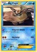 Big Flapa