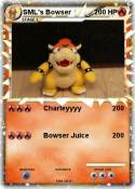 SML's Bowser
