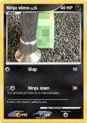 Ninja slime