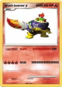 brush bowser jr