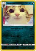 Spoingus