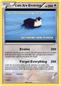 Cats Are