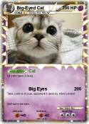 Big-Eyed Cat