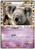 koala!