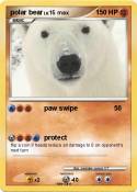 polar bear