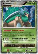 Torterra P