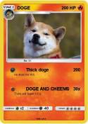 DOGE