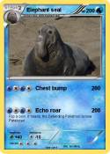 Elephant seal