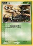 Wild Boar
