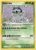 flower dog