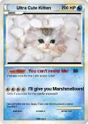 Ultra Cute Kitten Ultra Cute