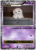 killer cat killer cat