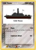 CSS Texas