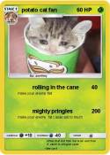 potato cat fan