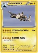 SKY BOMBER