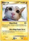 Super Cat