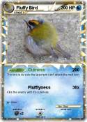 Fluffy Bird