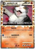 sandwich cat