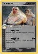 fat monkey fat monkey