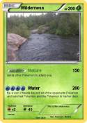 Wilderness