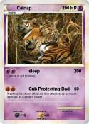 Catnap