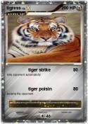 tigress