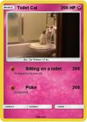 Toilet Cat