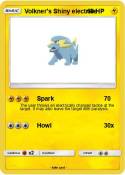 Volkner's Shiny