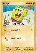 sponge