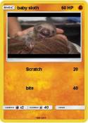 baby sloth