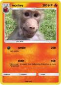 monkey