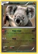 Killer Koala