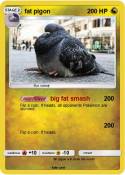fat pigon