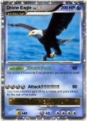 Drone Eagle
