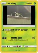 Stick bug