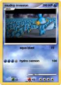 mudkip invasion