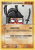 Polish husar