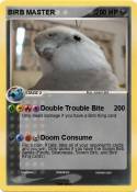 BIRB MASTER