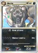 Mocha Mocha