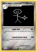 stick ninja