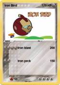 Iron Bird
