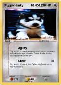 Puppy Husky