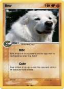 Bear