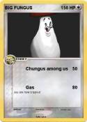 BIG FUNGUS