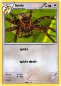 Spidie