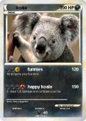 koala